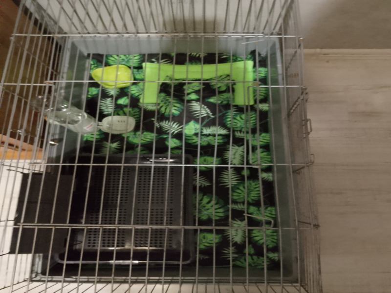 Anna, Andrespol Anna, Andrespol