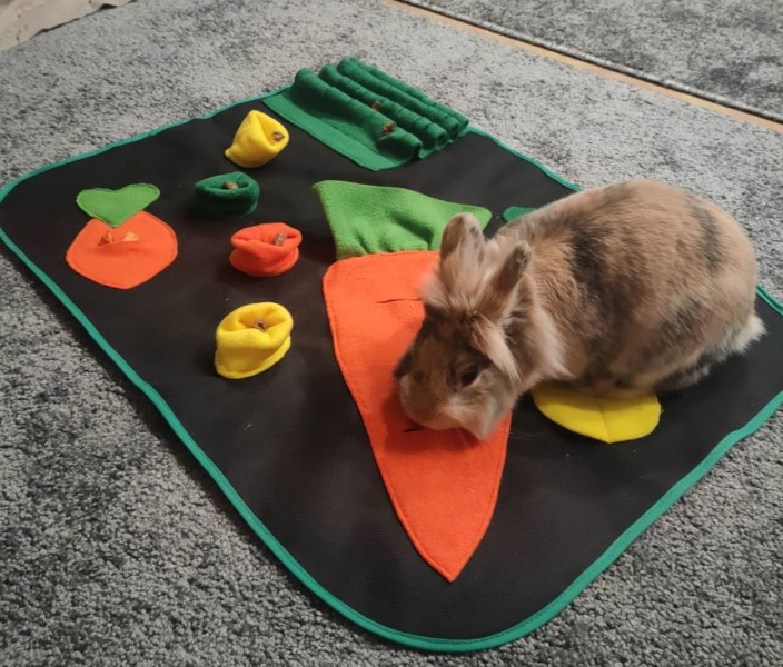 Lucyna, Tarnów Lucyna, Tarnów