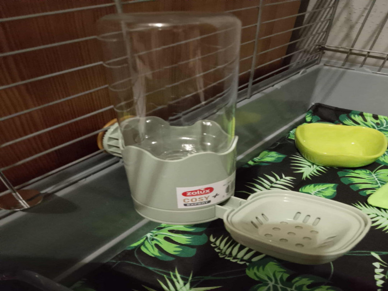 Anna, Andrespol Anna, Andrespol