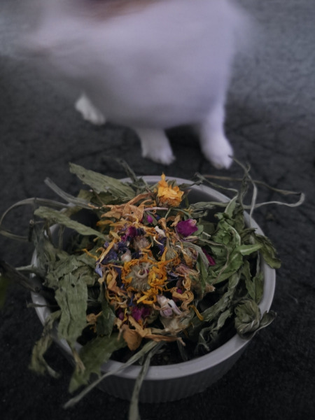 Karolina, Przeginia, Małopolskie