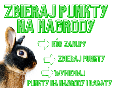 Program lojalnościowy królik