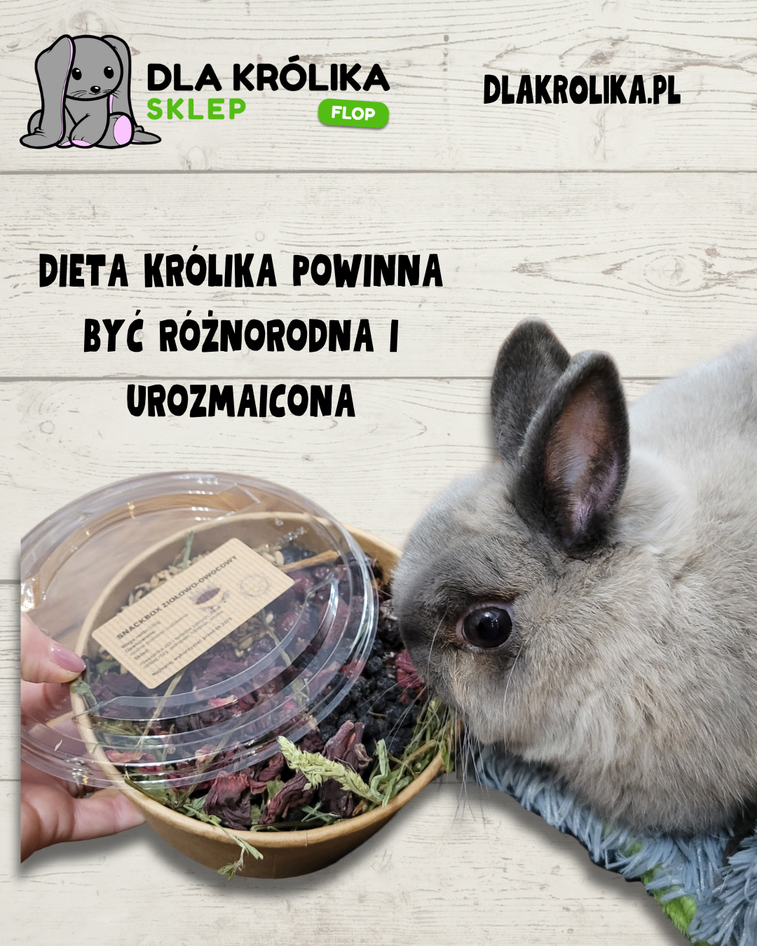 Króliki uwielbiają zdrową ale urozmaiconą dietę!