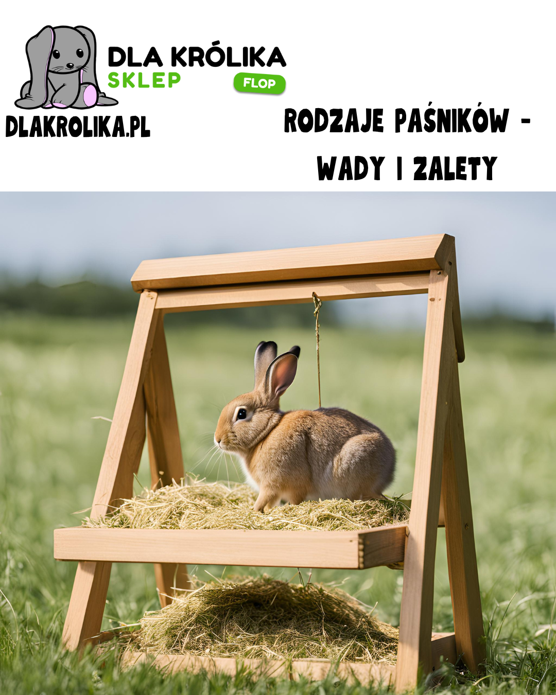 Rodzaje paśników dla królika – wady i zalety