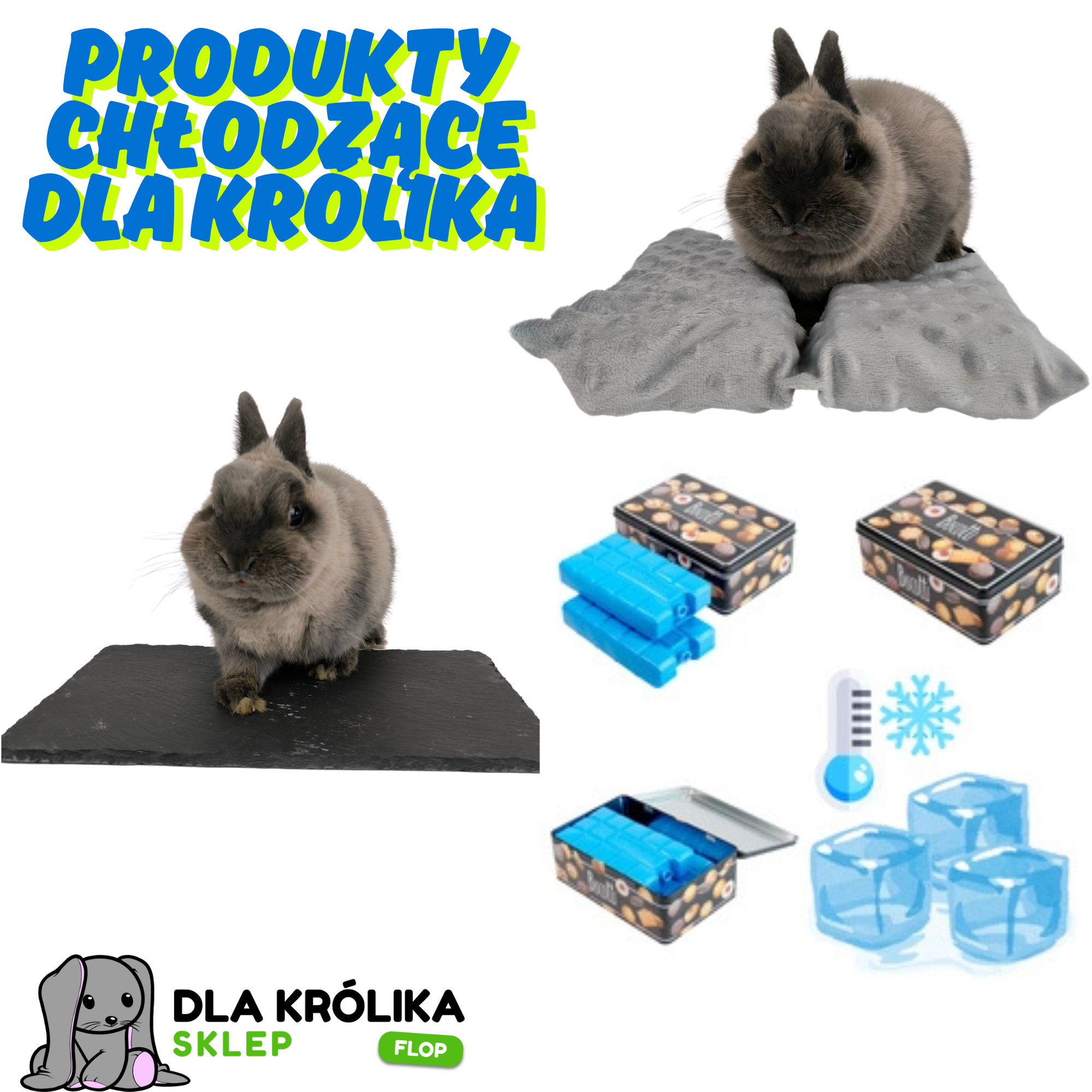 Chroń swojego królika przed upałem – wybierz skuteczne produkty chłodzące