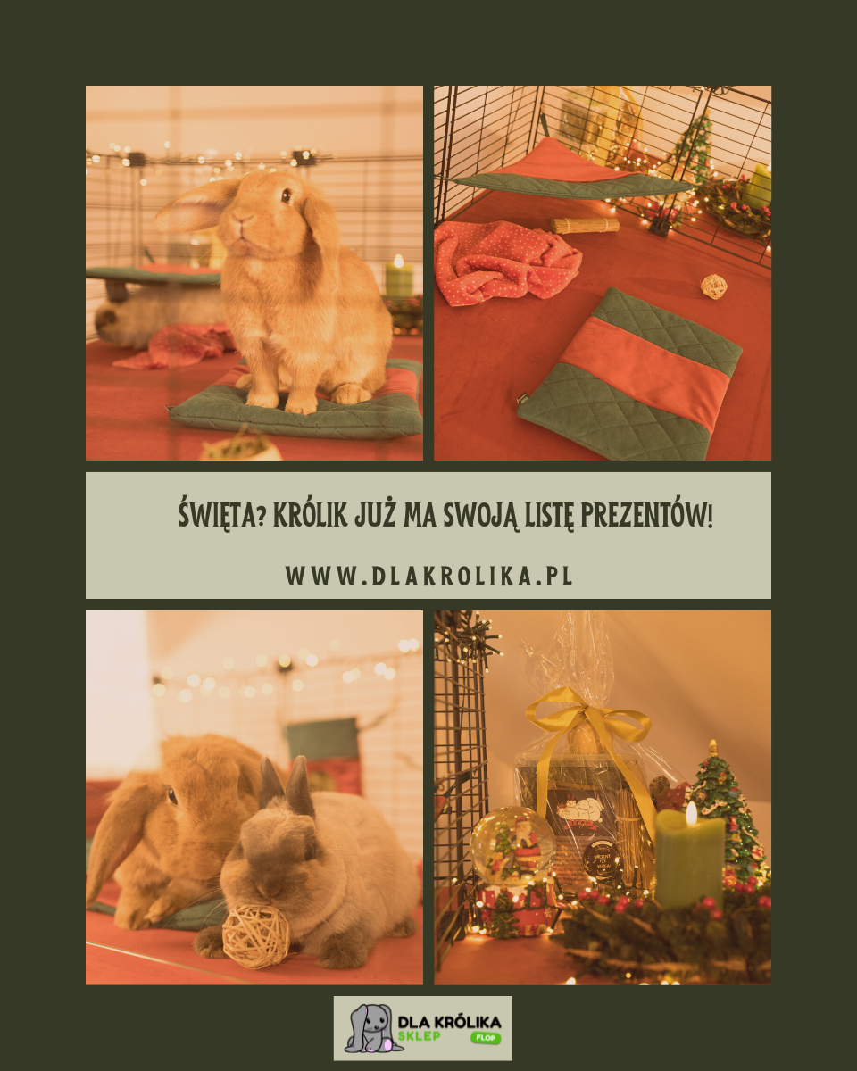 🎄 Nowa świąteczna kolekcja akcesoriów dla króliczków! 