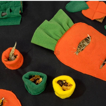 Marchewkowe pole - plac zabaw i mata węchowa 73x53cm dla królików