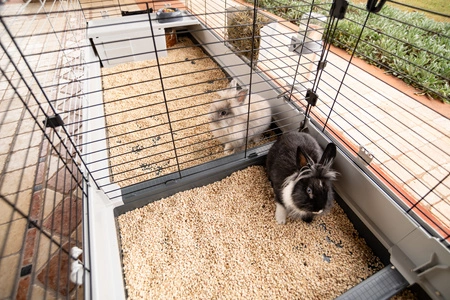 KROLIK 200 GABBIA Ogromna klatka modułowa dla szczęśliwych królików