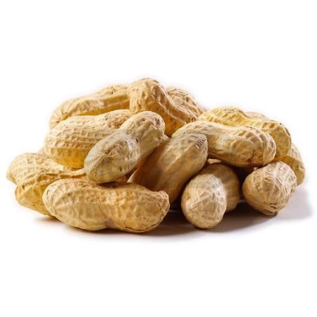 Orzechy ziemne w łupince 100 g