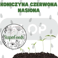 Koniczyna czerwona