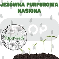 Jeżówka purpurowa