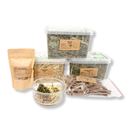 Zestaw wspierający układ pokarmowy