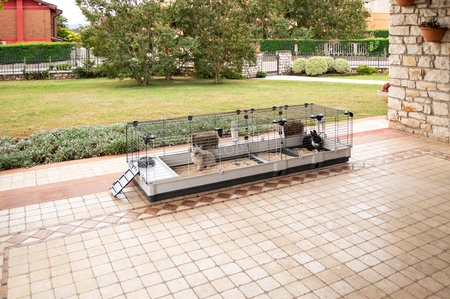 KROLIK 200 GABBIA Ogromna klatka modułowa dla szczęśliwych królików