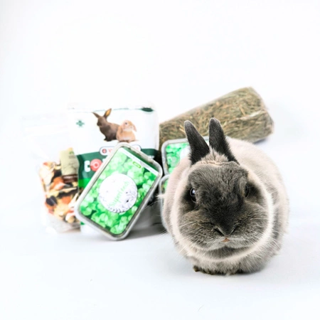 Króliczy Pakiet Startowy – Kompletny Zestaw Jedzenia i Siana dla Królika