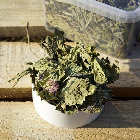 Babka szerokolistna (Plantago major L.) liść 100g / pudełko 1200ml dla królika