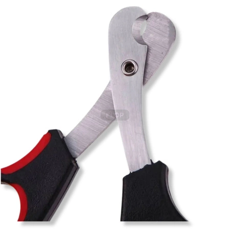 Nożyczki do obcinania pazurków królika