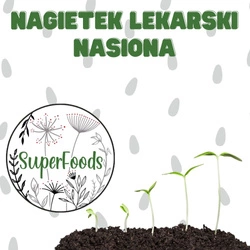 Nagietek lekarski - nasiona do domowego wysiewu