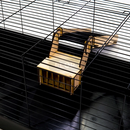 Rampa / schodki do wychodzenia z klatki z paśnikiem i pokrowcem