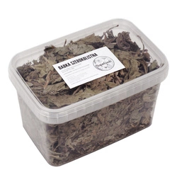 Babka szerokolistna (Plantago major L.) liść 100g / pudełko 1200ml dla królika