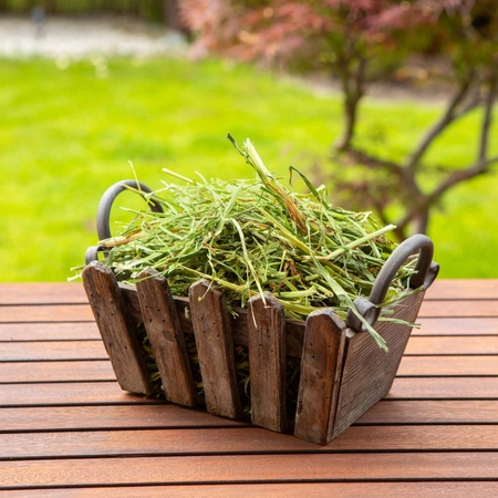 TIVO Usianowanko 1 kg – zielone i aromatyczne sianko dla królików