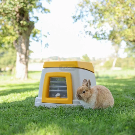 Bunny Base - dwupoziomowy domek z podziemną norą dla królika z wyposażeniem
