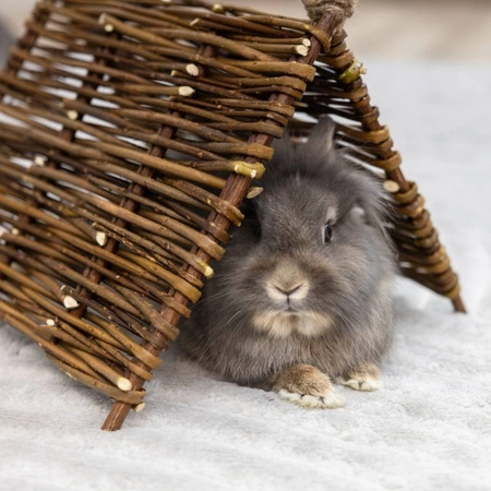 Szałas z gałązek dla królików - tunel, domek i gryzak 3w1