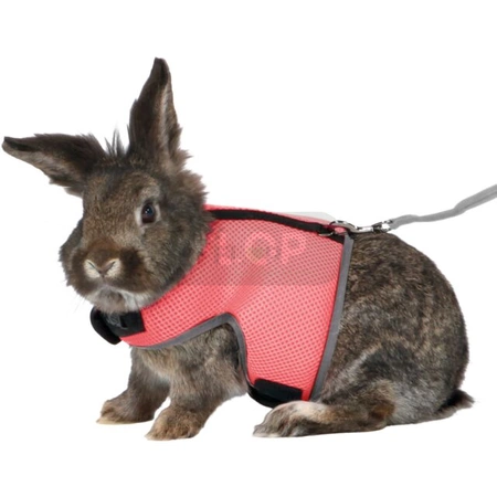 Szelki ze smyczą dla królików