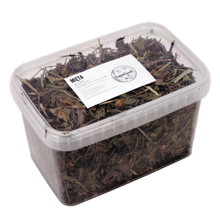 Mięta (Mentha L.) ziele 100g / pudełko 1200ml dla królika