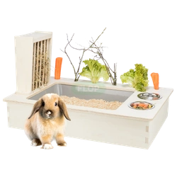 Ogromny kuwetopaśnik Trixie dla królika domowego