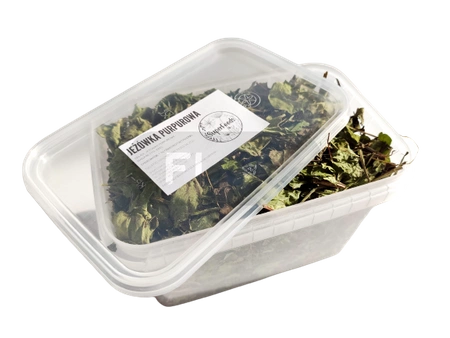 Jeżówka purpurowa (Echinacea purpurea (L.) ziele 100g / pudełko 1200ml dla królika