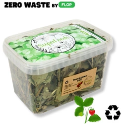 Truskawka (Fragaria ×ananassa L.) liść 100g / Zero Waste pudełko 1200ml dla królika