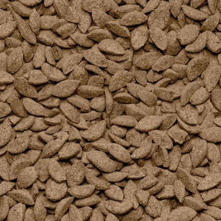 Beaphar Care+ Chinchilla 1,5 kg - karma Super Premium dla szynszyli