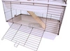 Piętrowa klatka dla królików 100x55x(h)93cm - szare kuwety, czarne kraty