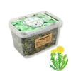 Mniszek lekarski (Taraxacum officinale) ziele 100g / pudełko 1200ml dla królika